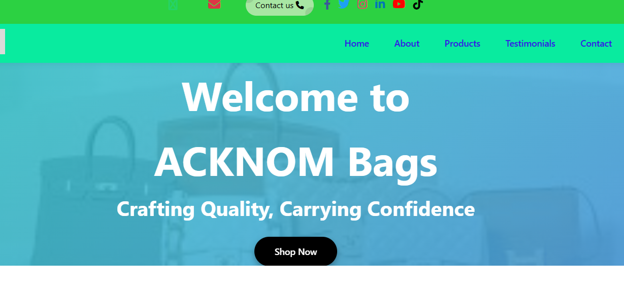 Website Design Project 1